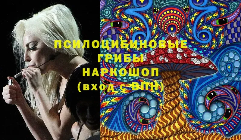 Псилоцибиновые грибы Magic Shrooms  Далматово 